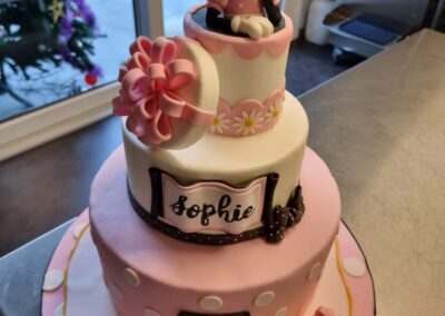 torta compleanno minni i dolci di kikka